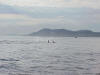 San Juan de Fucha & two pods of Orcas